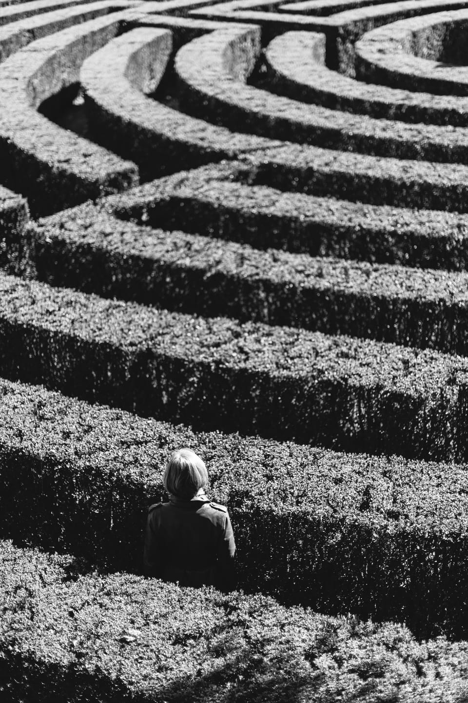 A person lost in the middle of a hedge maze searching for the right direction. 